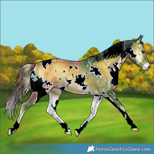 Horse Color:Watercolor White Spotted Liver Red Onyx