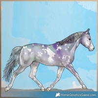 Horse Color:Watercolor White Spotted Liver Red Dun Onyx 