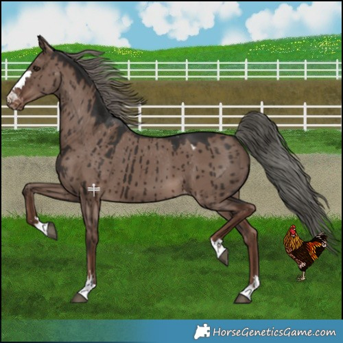 Horse Color:Liver Red Dun Mushroom Varnish Brindle 