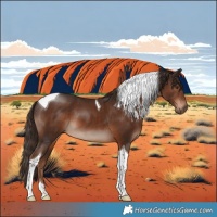 Horse Color:Liver Chestnut Tobiano 