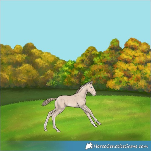 Horse Color:Perlino Tobiano 