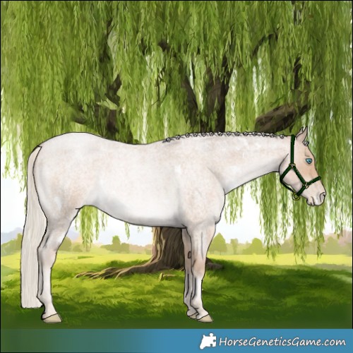 Horse Color:White Spotted Chocolate Palomino Roan Pearl