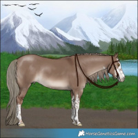 Horse Color:White Spotted Liver Red Dun Mushroom Rabicano