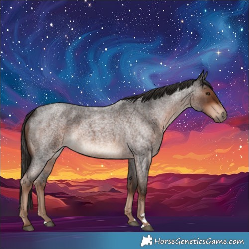 Horse Color:Liver Red Roan