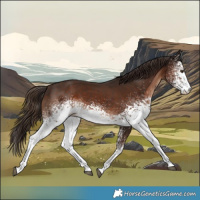 Horse Color:White Spotted Liver Chestnut 