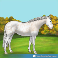 Horse Color:Palomino Ice Pearl Splash Blanket Rabicano