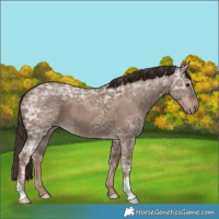 Horse Color:Liver Red Dun Ice 