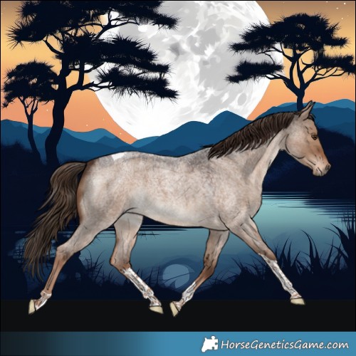 Horse Color:Liver Red Dun Roan Tobiano 