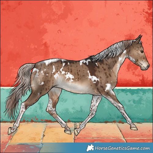 Horse Color:White Spotted Liver Red Dun Tobiano Brindle 