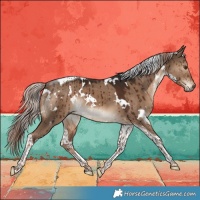 Horse Color:White Spotted Liver Red Dun Tobiano Brindle 