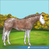 Horse Color:Chestnut Ice Splash Varnish 