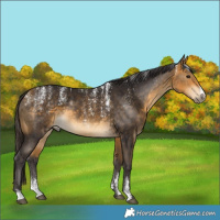 Horse Color:Powder White Buckskin