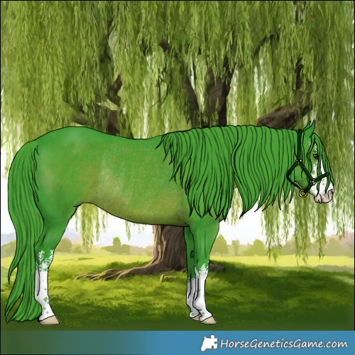 Horse Color:Watercolor White Spotted Liver Chestnut Rabicano 