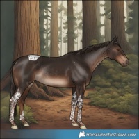 Horse Color:Liver Chestnut Tobiano Rabicano 