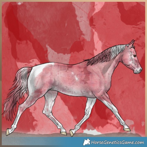 Horse Color:Watercolor Plaid  Red Onyx Ice Tobiano 