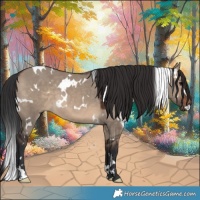 Horse Color:White Spotted Brown Dun 