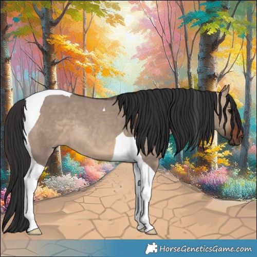 Horse Color:Brown Dun Tobiano
