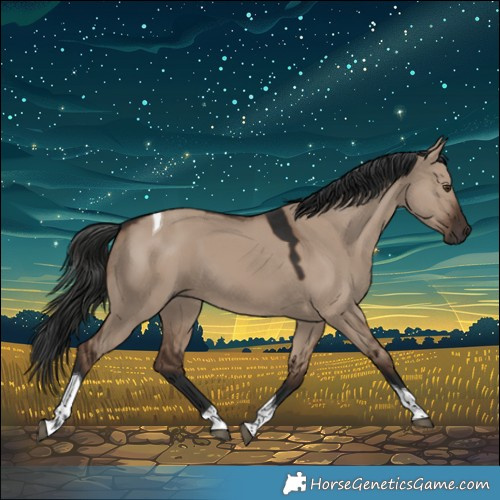 Horse Color:Liver Red Dun Tobiano