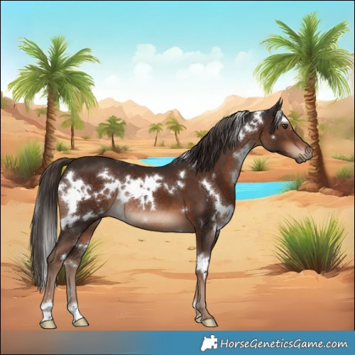 Horse Color:White Spotted Liver Chestnut Rabicano