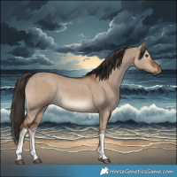 Horse Color:White Spotted Liver Red Dun 