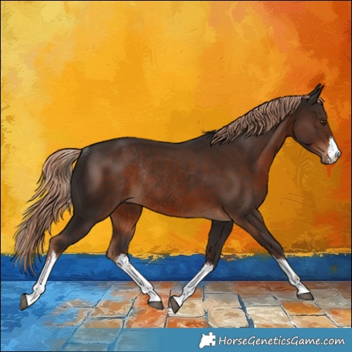 Horse Color:White Spotted Liver Chestnut Rabicano