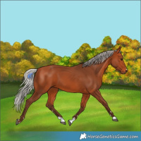Horse Color:Silver Bay