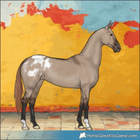 Horse Color:Liver Red Dun Appaloosa