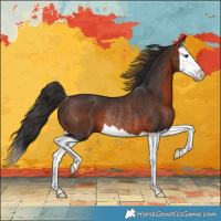 Horse Color:Brown Splash Rabicano 