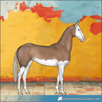 Horse Color:Liver Red Dun Splash 