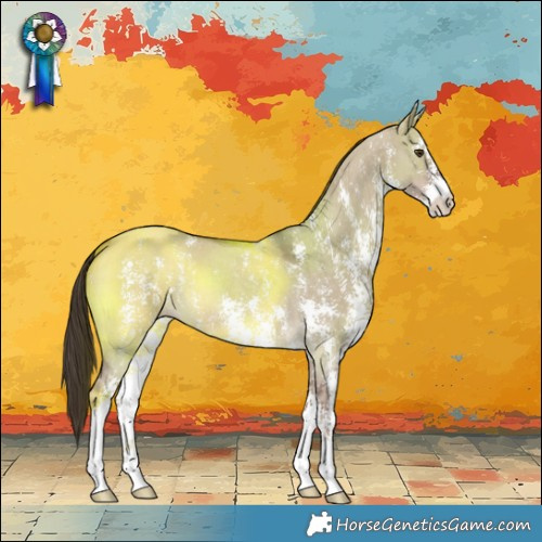 Horse Color:Liver Red Dun Sabino 