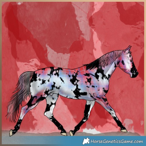 Horse Color:Void Watercolor Plaid White Spotted Liver Red Onyx
