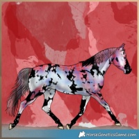Horse Color:Void Watercolor Plaid  White Spotted Liver Red Onyx 