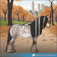 Horse Color:White Spotted Liver Red Roan 