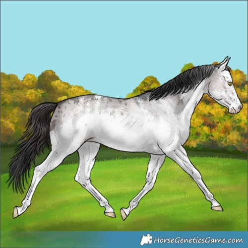 Horse Color:Platinum White Spotted Liver Red Dun Sabino Brindle