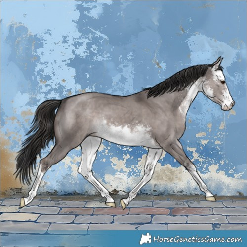 Horse Color:Platinum White Spotted Liver Red Dun