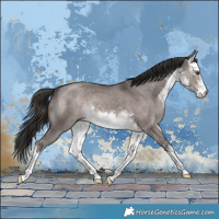 Horse Color:Platinum White Spotted Liver Red Dun 