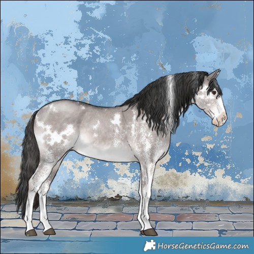 Horse Color:Platinum White Spotted Liver Red Dun 