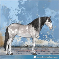 Horse Color:Platinum White Spotted Liver Red Dun