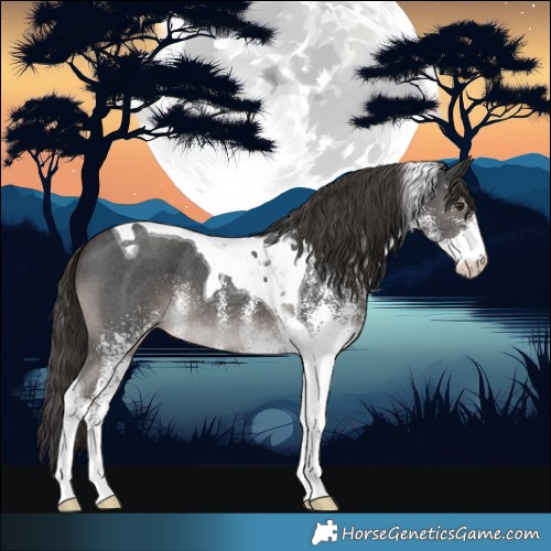 Horse Color:Platinum White Spotted Liver Chestnut Tobiano 