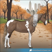 Horse Color:White Spotted Liver Red Dun Tobiano