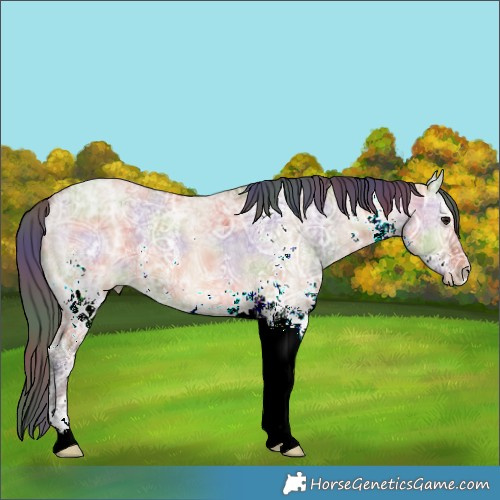 Horse Color:Nacre White Spotted Bay Ice Dun