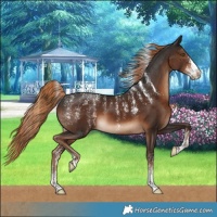 Horse Color:Powder White Liver Chestnut 