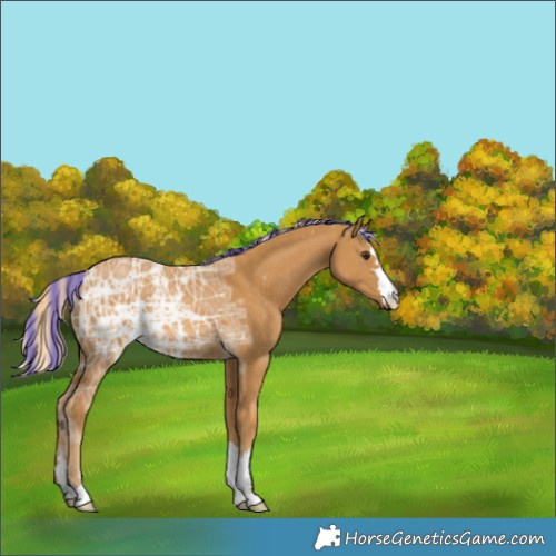 Horse Color:Painted Palomino Ice 