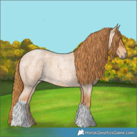 Horse Color:Red Roan Tobiano 