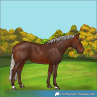Horse Color:Silver Bay