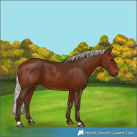 Horse Color:Silver Bay