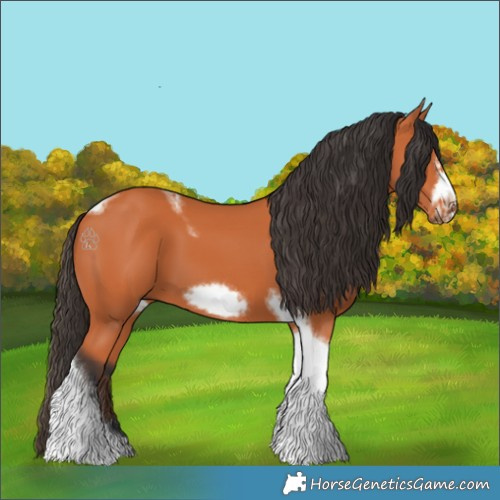 Horse Color:Bay Tobiano Frame 