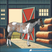 Horse Color:Bay Roan Tobiano Rabicano  and Blue Roan Tobiano Rabicano 