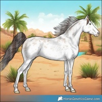 Horse Color:White Spotted Sable Champagne Dun Sabino Splash 