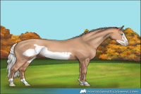 Horse Color:Silver Amber Champagne Frame